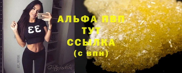 эйфоретик Беломорск